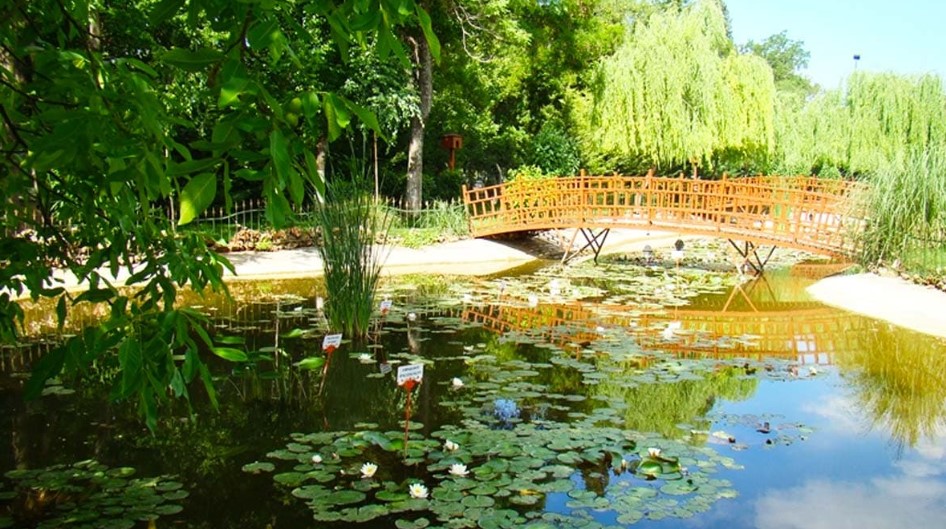 Gaziantep Botanik Bahçesi çiçekli yürüyüş yolu